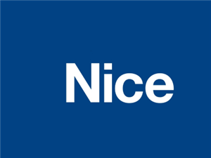 logo_nice317.jpg